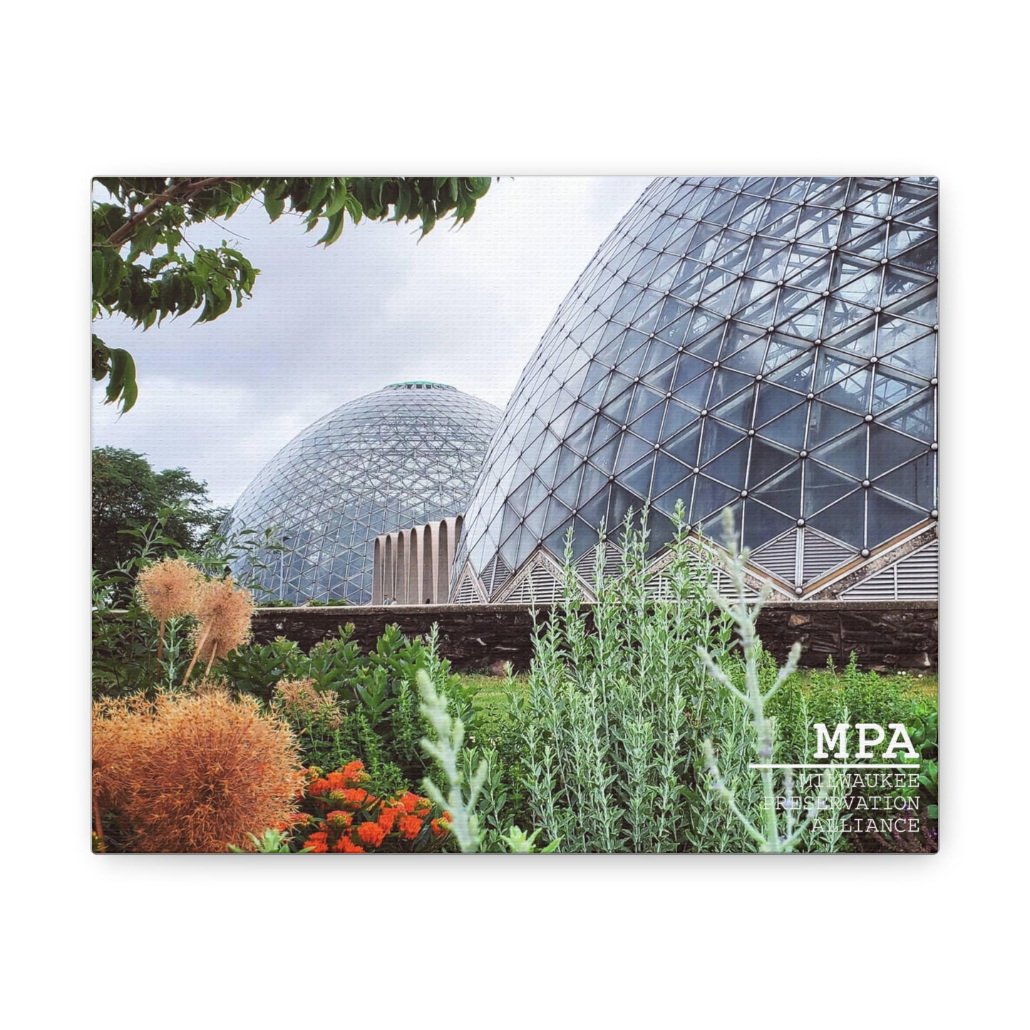 Domes Canvas Gallery Wraps